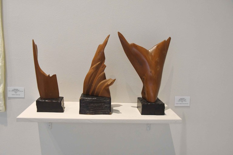2026.03.10_exposição mulheres de março © Roberto Guedes (52).JPG