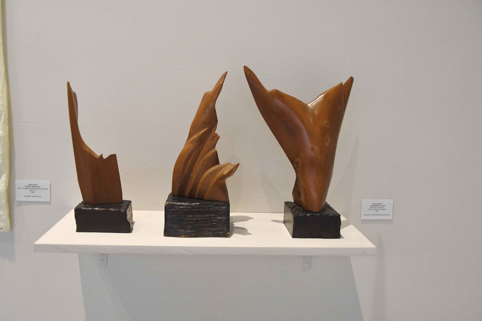 2026.03.10_exposição mulheres de março © Roberto Guedes (52).JPG