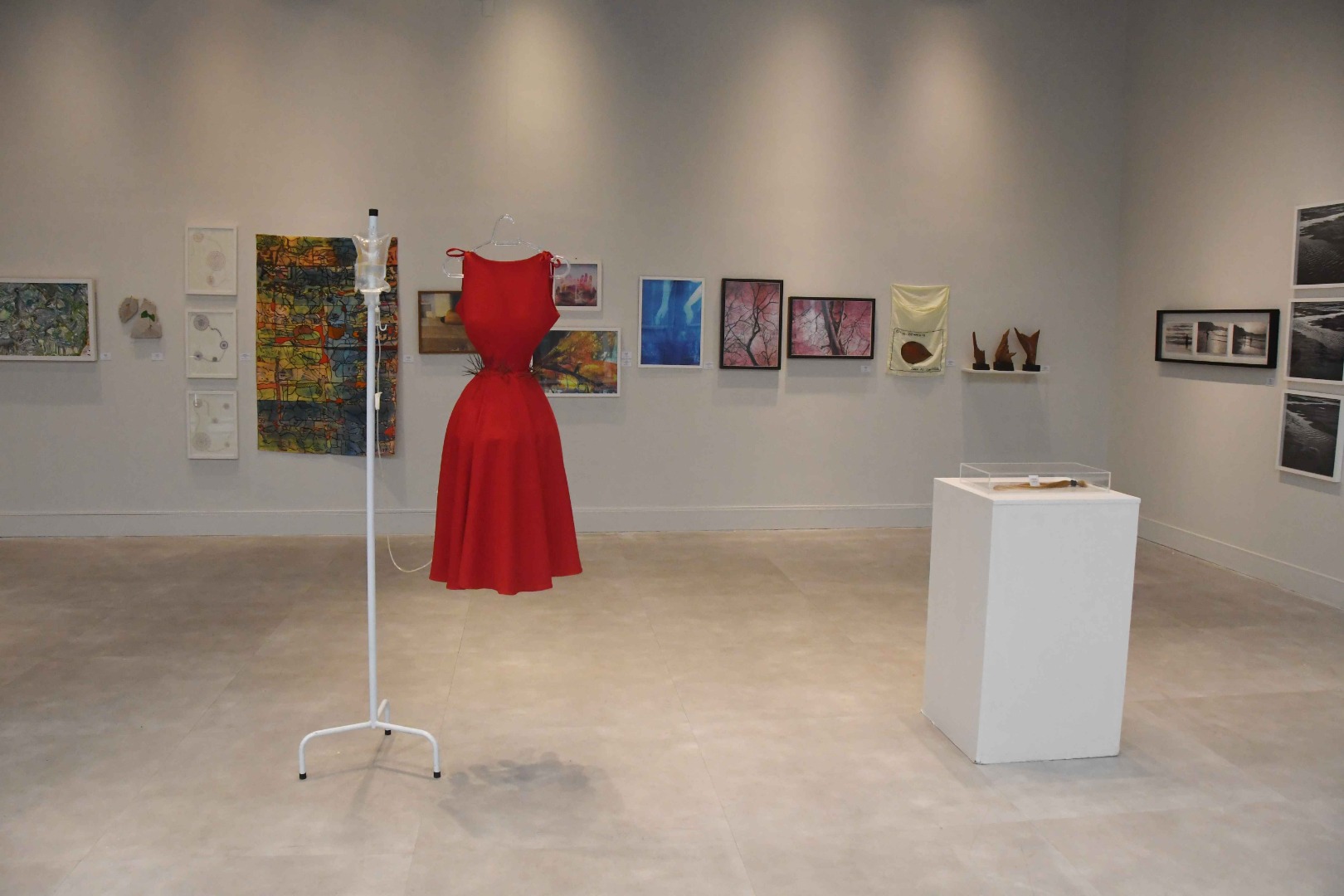 2026.03.10_exposição mulheres de março © Roberto Guedes (70).JPG