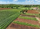 Agropecuária sustentável - Divulgação.jpg
