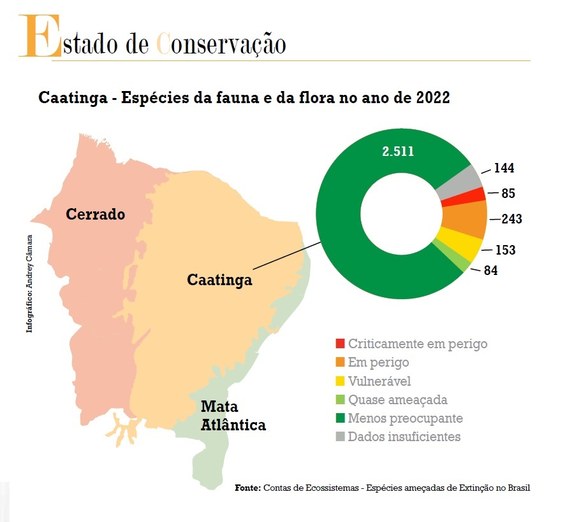 Sem título.jpg