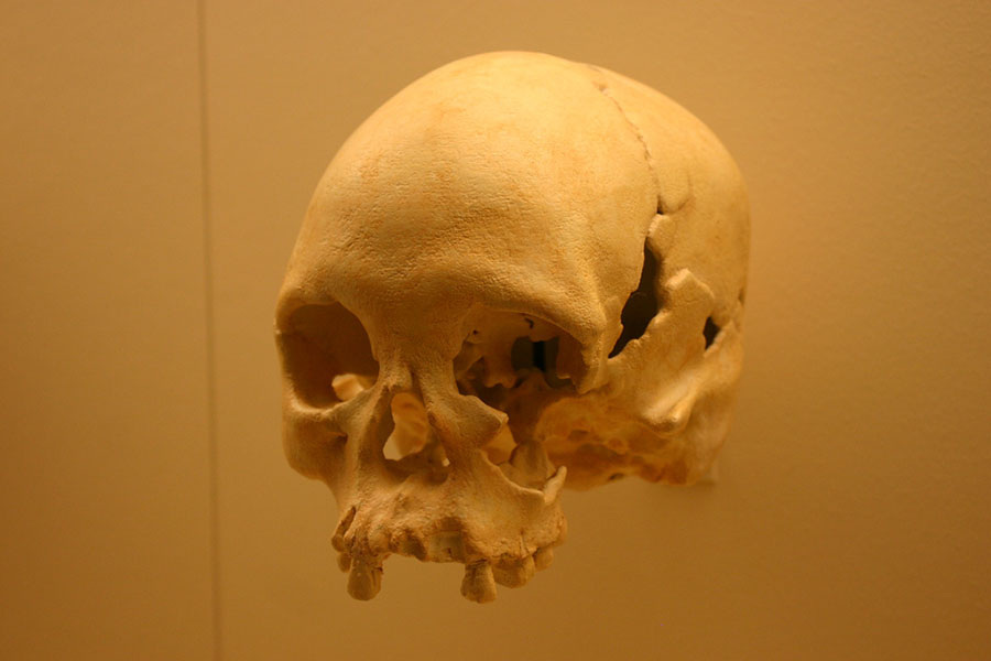 homo.jpg