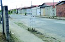 replantio_complexo_aluizio_campus_cg_fabiana_veloso (7).jpg