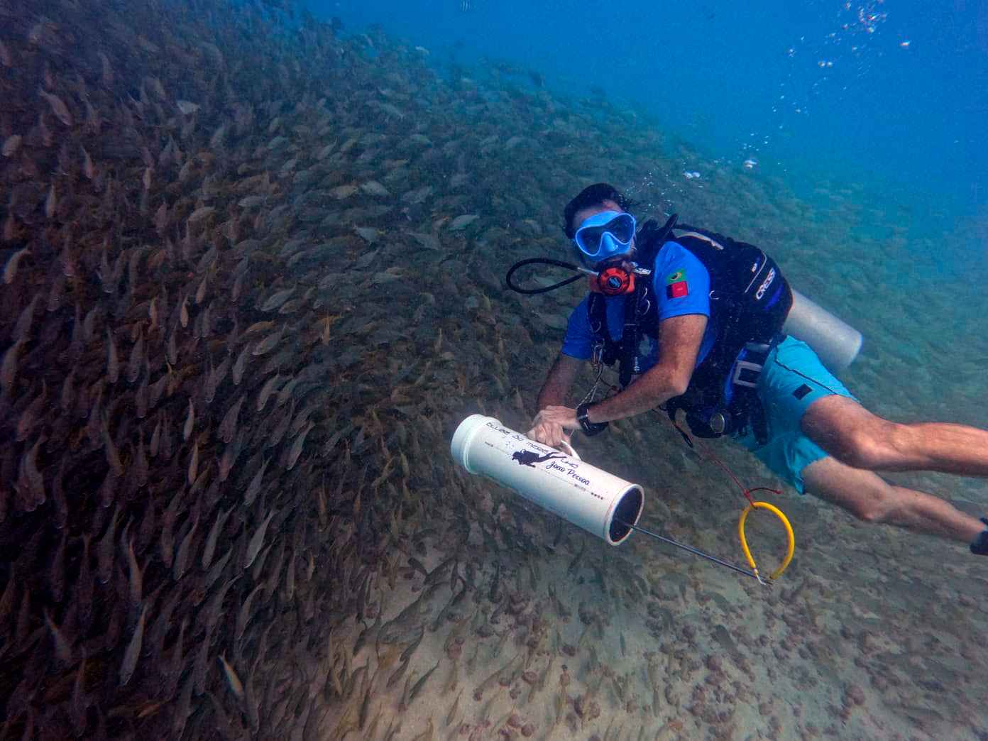 Busca ativa do peixe-leão - credito Clube do Mergulho (4).jpg