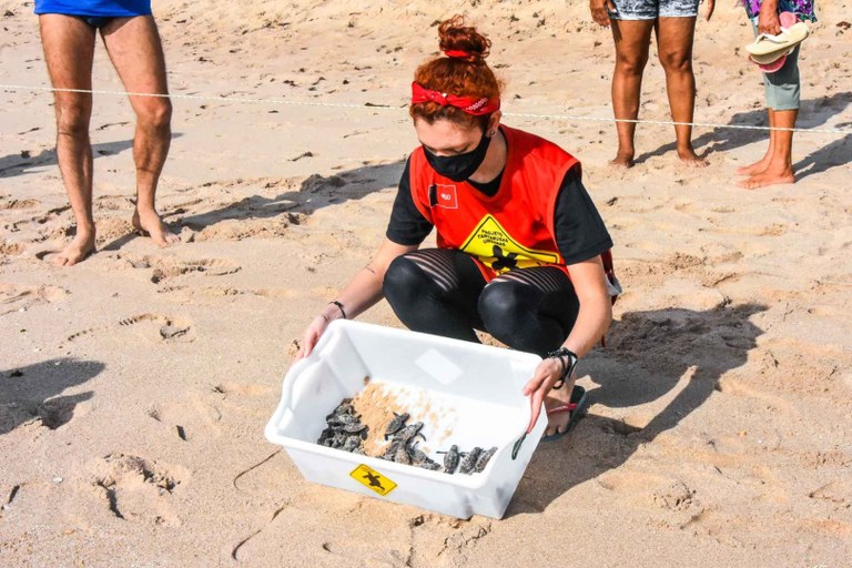 Créditos Acervo Associação Guajiru.jpg