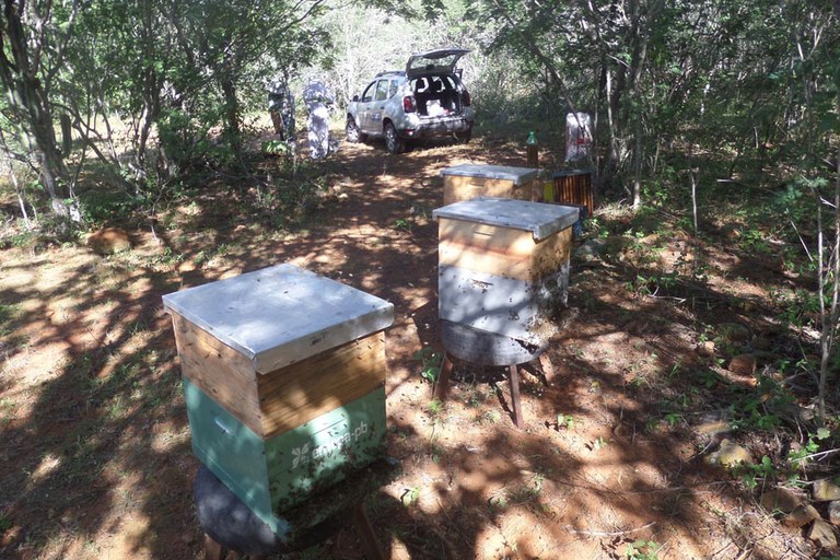 apicultura emepa 23 07.jpg apicultura emepa 23 07.jpg