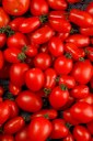 tomate-freepik.jpg