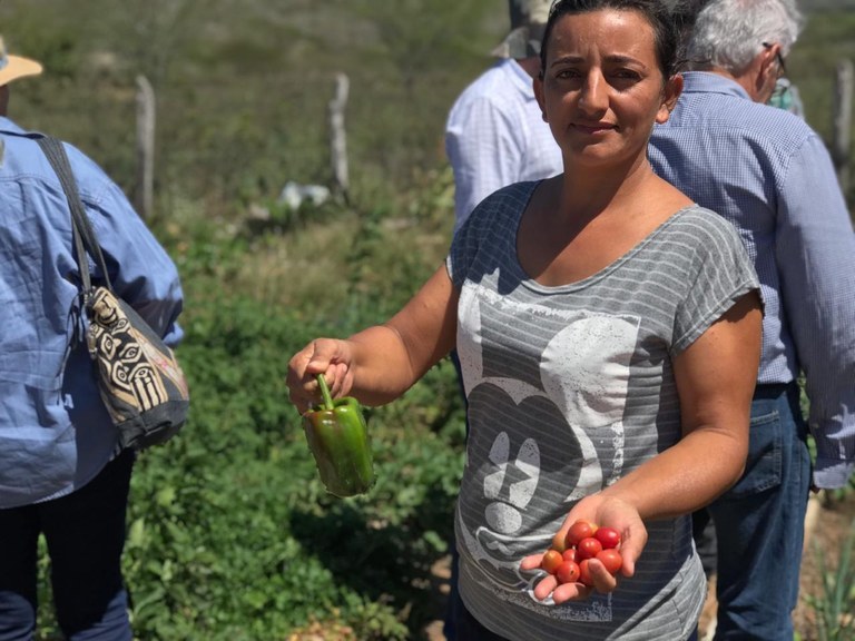 agricultura4.jpeg