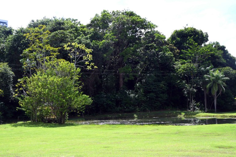 Dia da Terra_F. Evandro (1).JPG