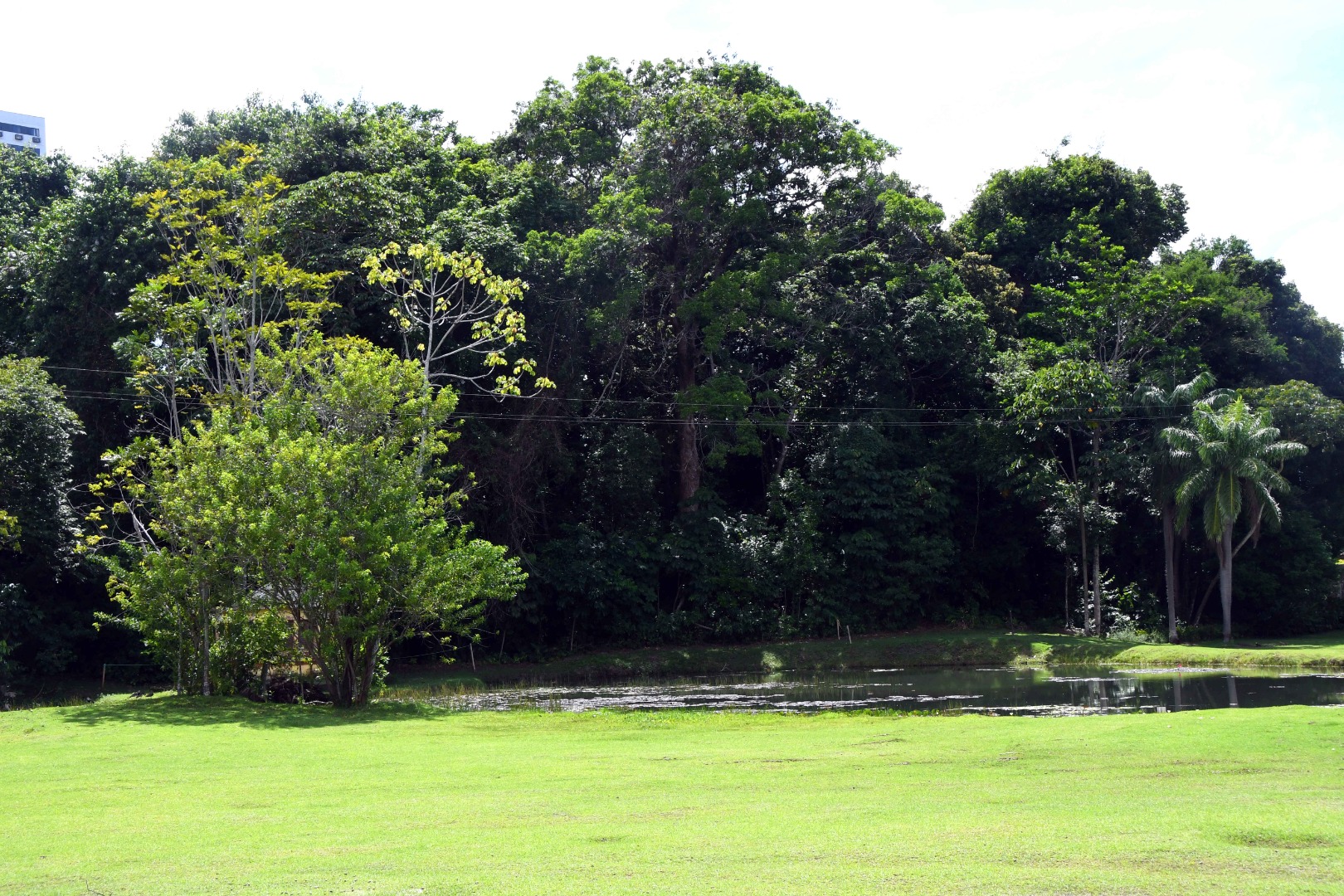 Dia da Terra_F. Evandro (1).JPG