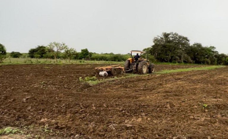 Plantio no Sertão Foto Coordecom Patos.jpg