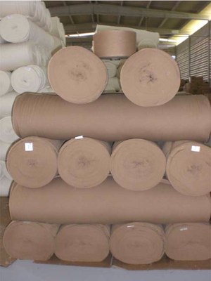 As pesquisas da Embrapa Algodão em cima do algodão naturalmente colorido buscam manter maior produtividade e rendimento da pluma 