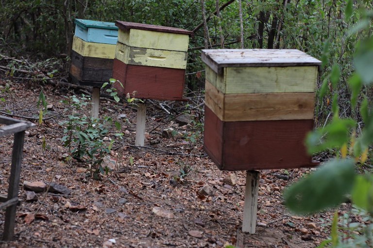 apicultores.jpeg