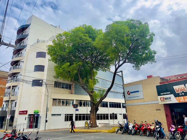 CRAIBEIRA - PATOS 2.jpeg