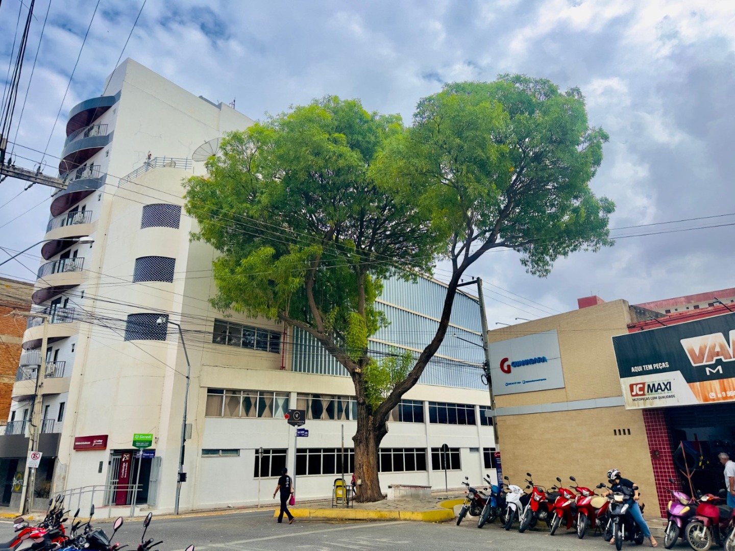 CRAIBEIRA - PATOS 2.jpeg