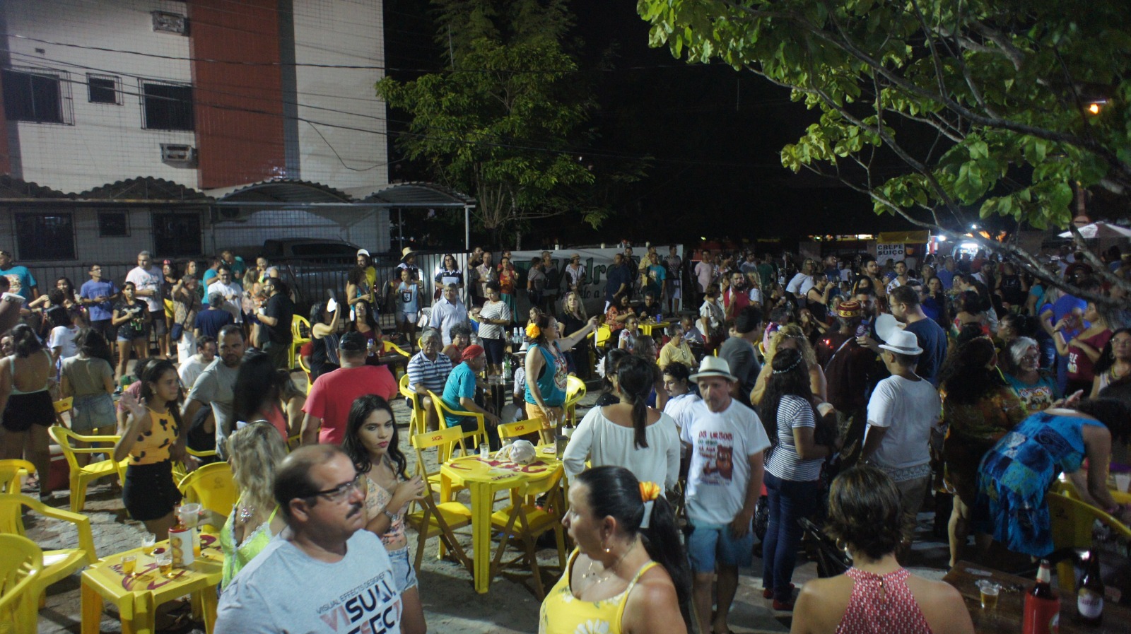 Violando a Madrugada - Teresa Duarte (5).jpeg