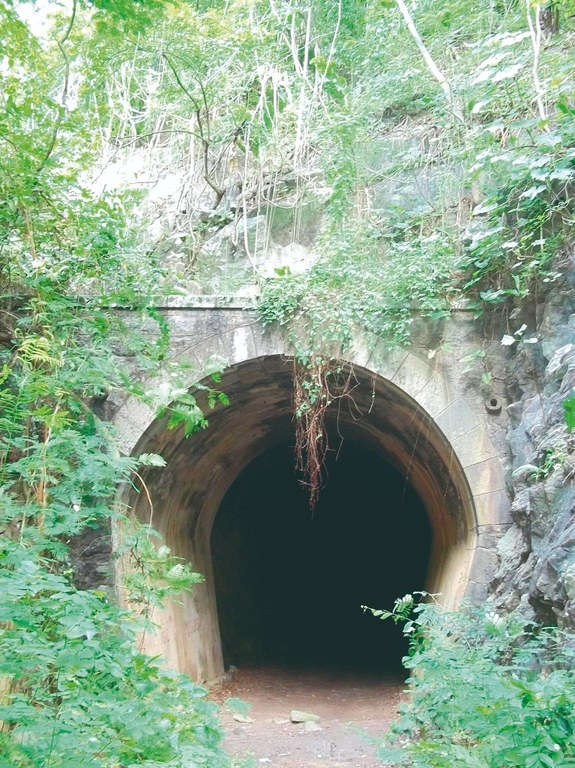 13 - túnel da Samambaia_albanisa assunção.jpg