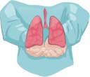 ilustra-cancer-de-pulmao--V2.jpg