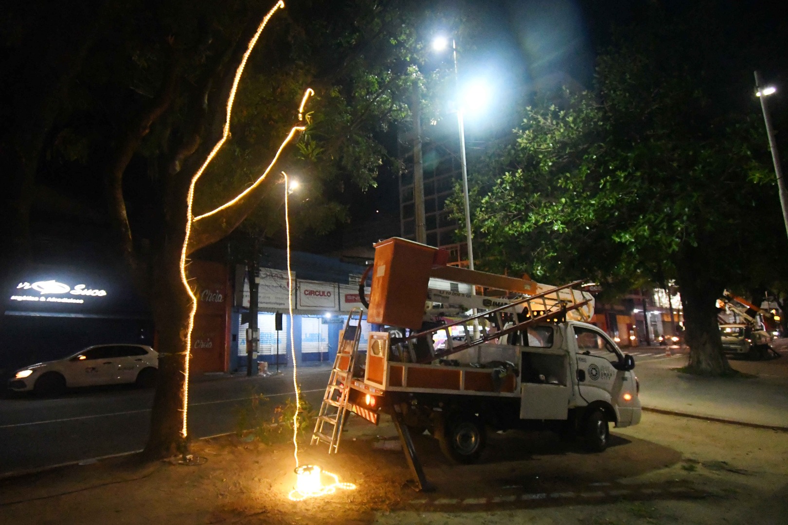 2025.10.15 Iluminação Natalina Inicio © João Pedrosa (7).JPG