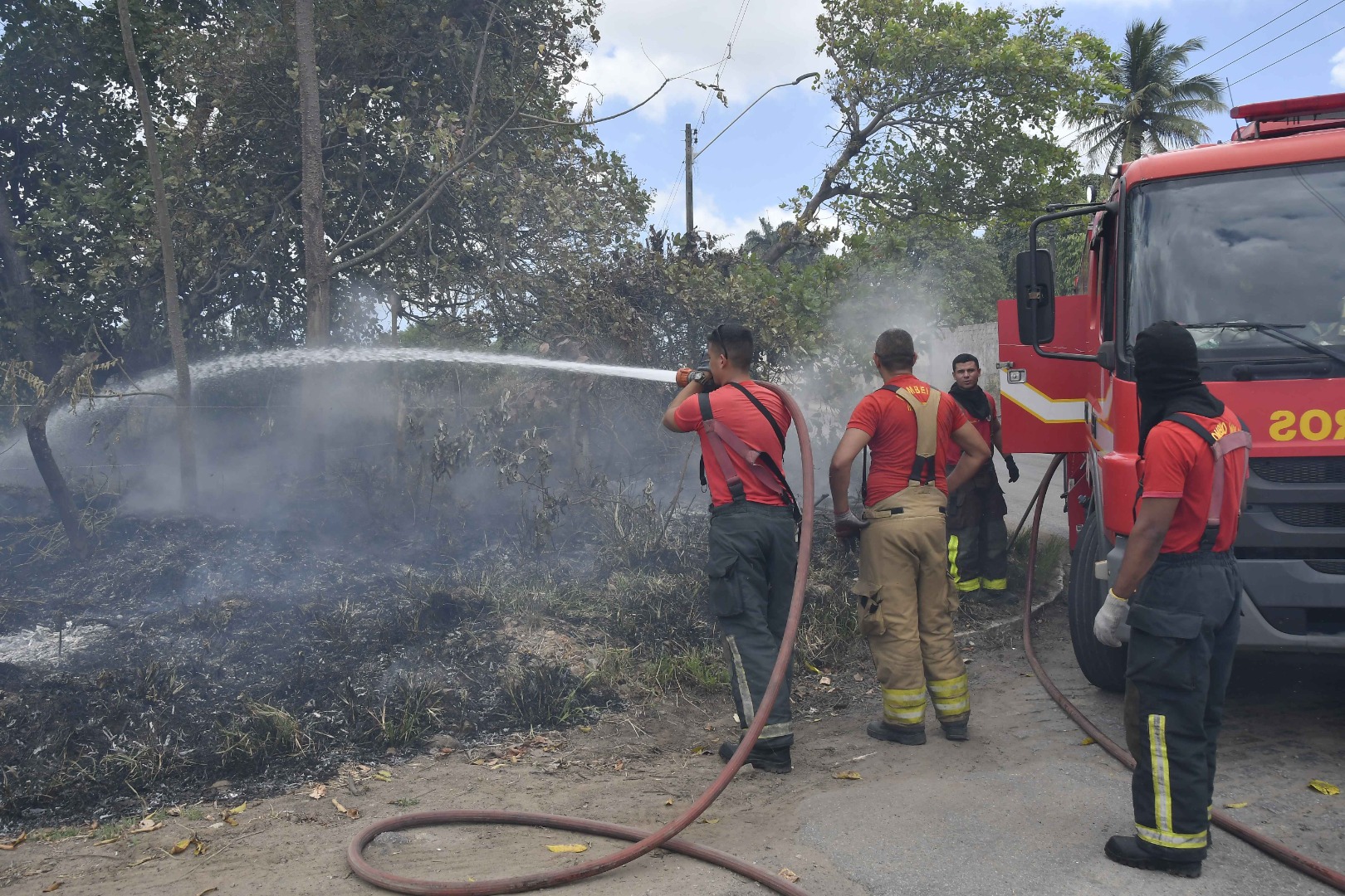 bombeiros_extinção de fogo © roberto guedes (22).JPG