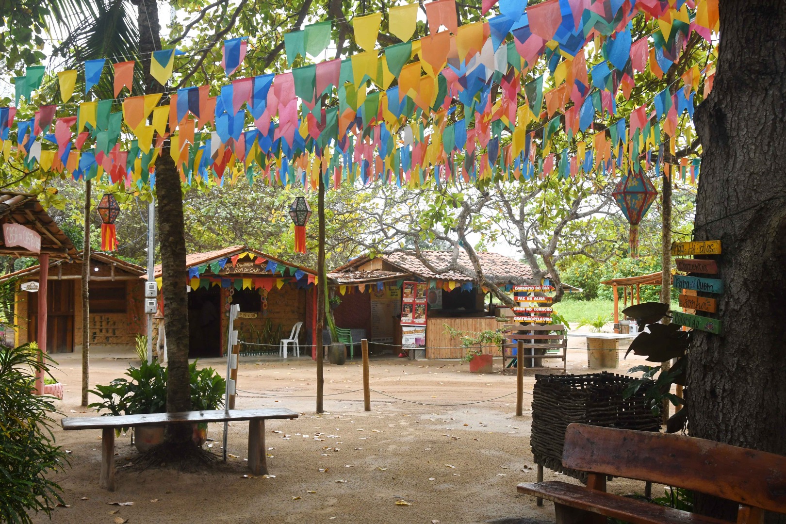 2025.08.12_doces tambaba © Roberto Guedes (17).JPG