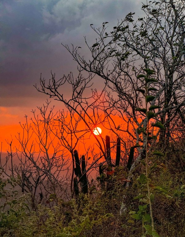 WhatsApp Image 2025-11-05 at 14.39.52.jpeg