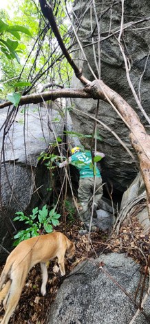 Entre os vestígios arqueológicos encontrados no local, estão amostras de arte rupestre, materiais cerâmicos e ossos humanos