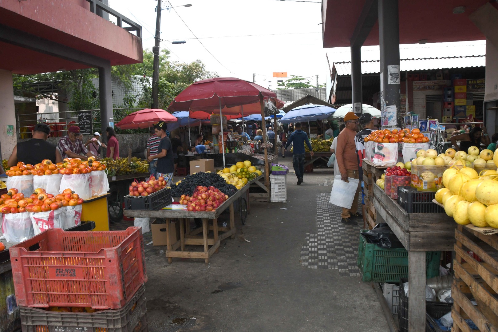 Denúncia no Mercado Central_F. Evandro (12).JPG