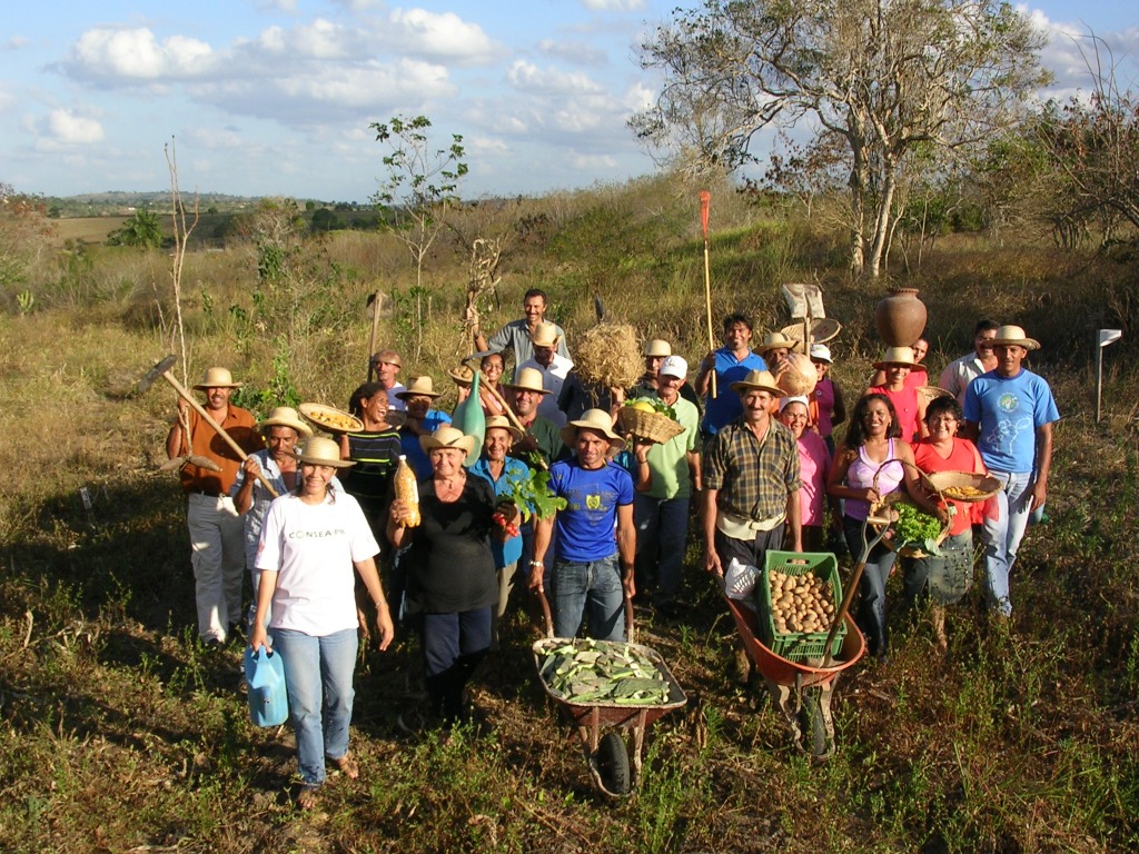 Agricultura familiar: perspectivas positivas