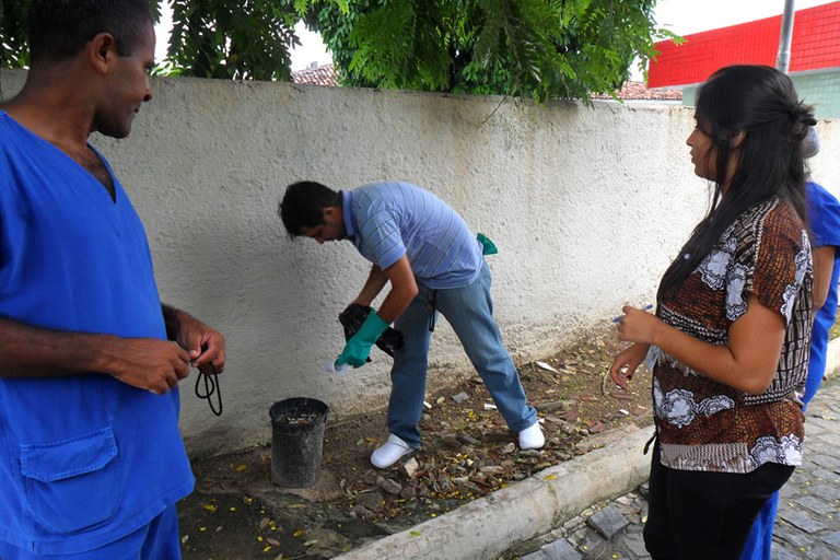 ses hemocentro realiza limpeza continuada contra o mosquito aedes aegypti (2).JPG ses hemocentro realiza limpeza continuada contra o mosquito aedes aegypti (2).JPG