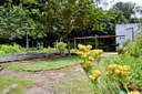 2024.09.04 Jardim Botânico Radar Ecológico © Leonardo Ariel (42).JPG