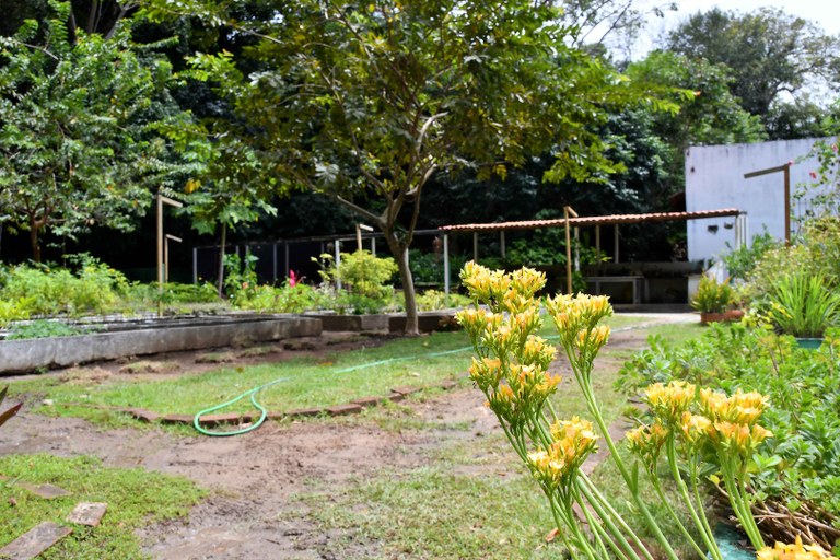 2024.09.04 Jardim Botânico Radar Ecológico © Leonardo Ariel (42).JPG
