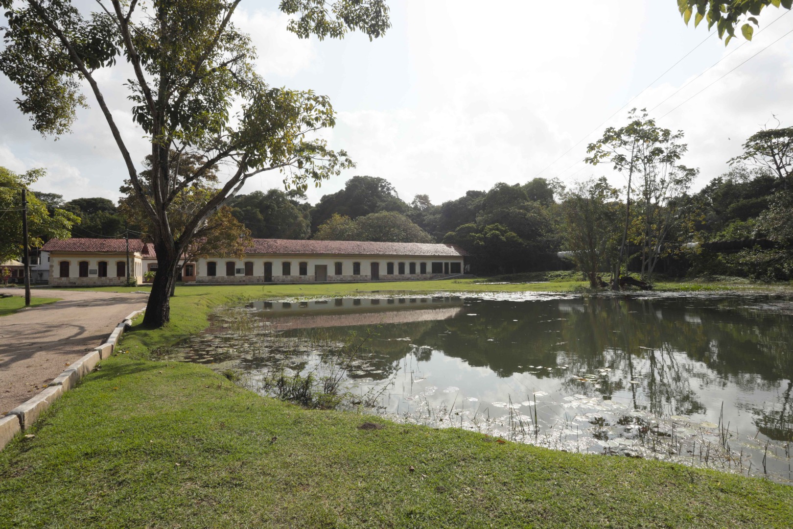 2024.07.29 Jardim Botânico © Carlos Rodrigo (18).JPG