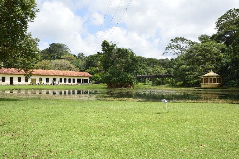 jardim botanico © roberto guedes (45).JPG