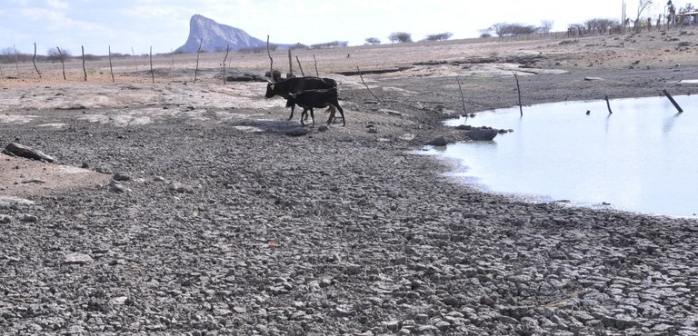 AS VACA DESISTE DE TOMAR ÁGUA LAMACENTA-(ORTILO0(16).JPG