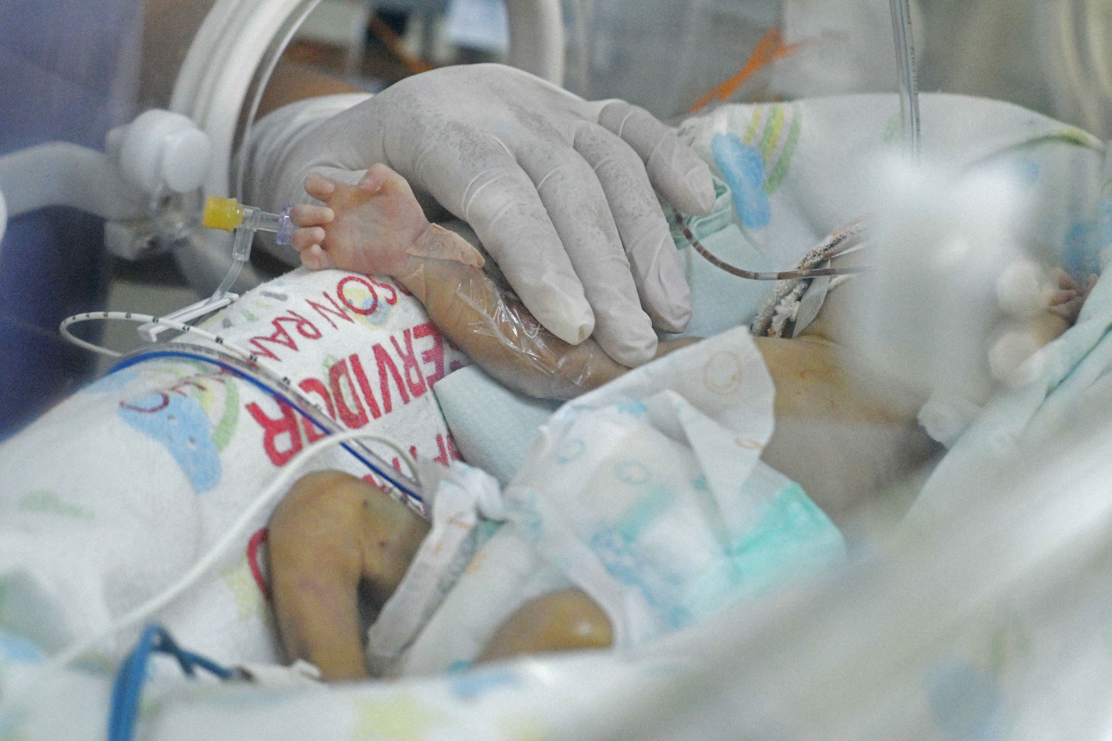 2025.10.28 Cuidados prematuro © Carlos Rodrigo (6).JPG