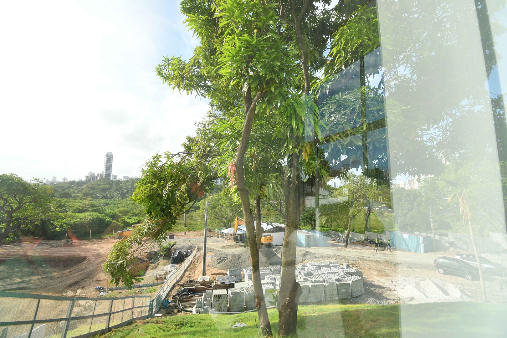 2026.01.26 desmatamento mata da beira rio © Carlos Rodrigo (30).JPG