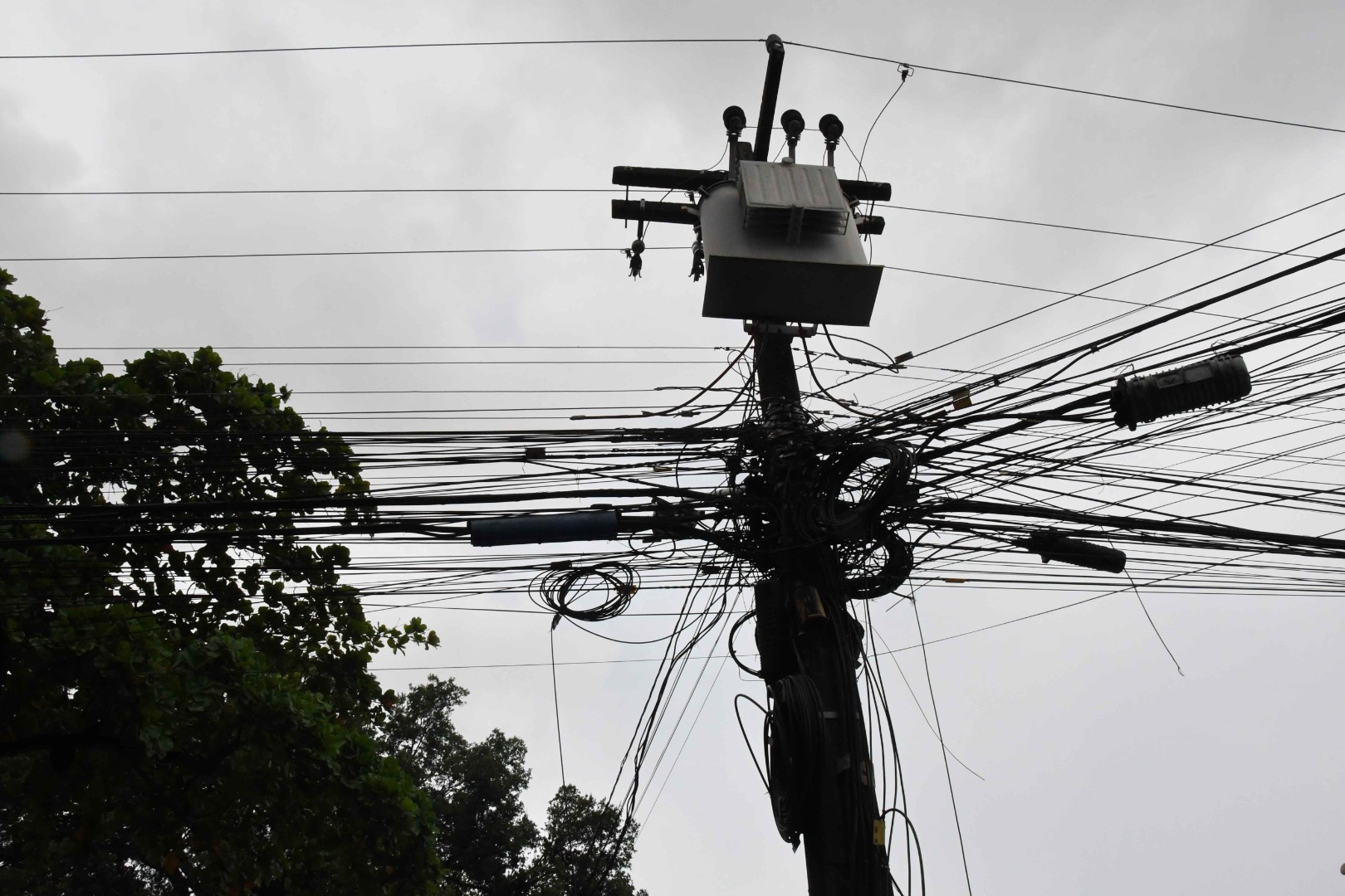 2024.08.02_fios postes © roberto guedes (5).JPG