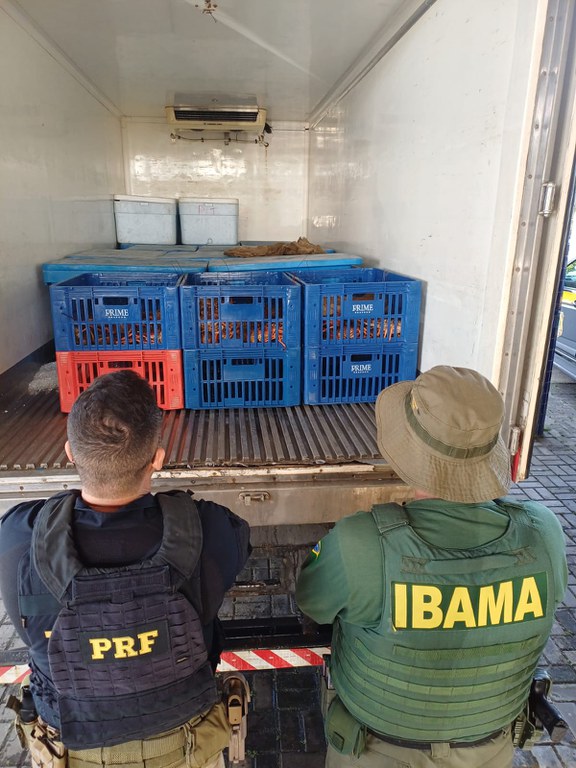 83ba636c-9ae8-48ac-abd7-6adc9a8f92ec (3).jpeg