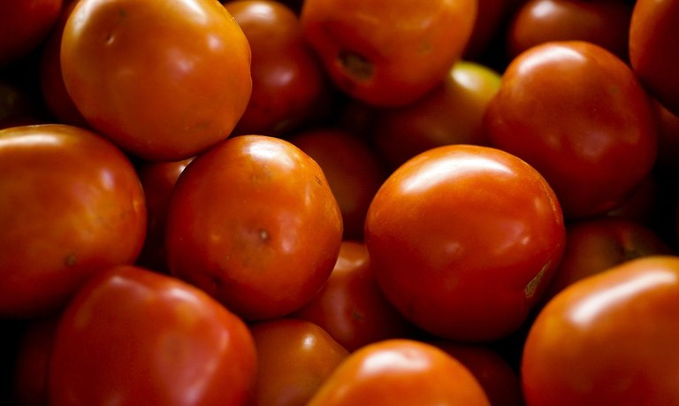 tomate_elza_fiuza_agencia_brasil.jpg