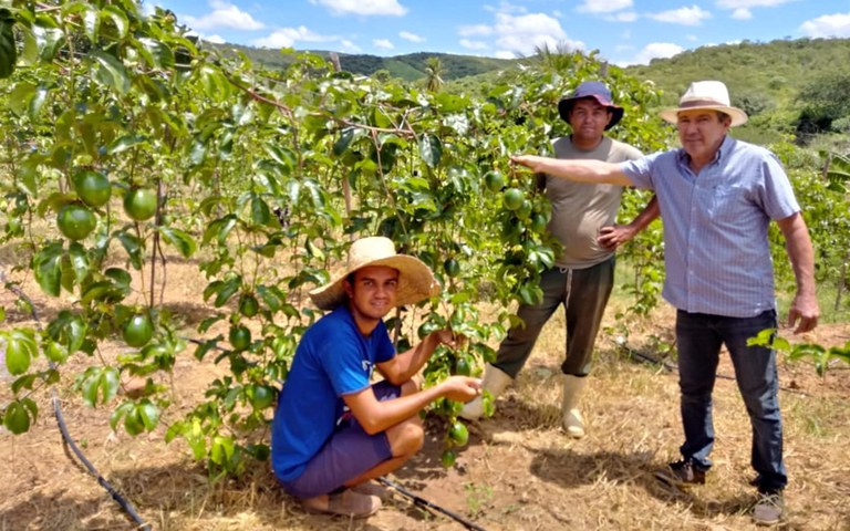 produtores_de_maracujá