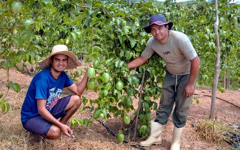 produtores_de_maracujá