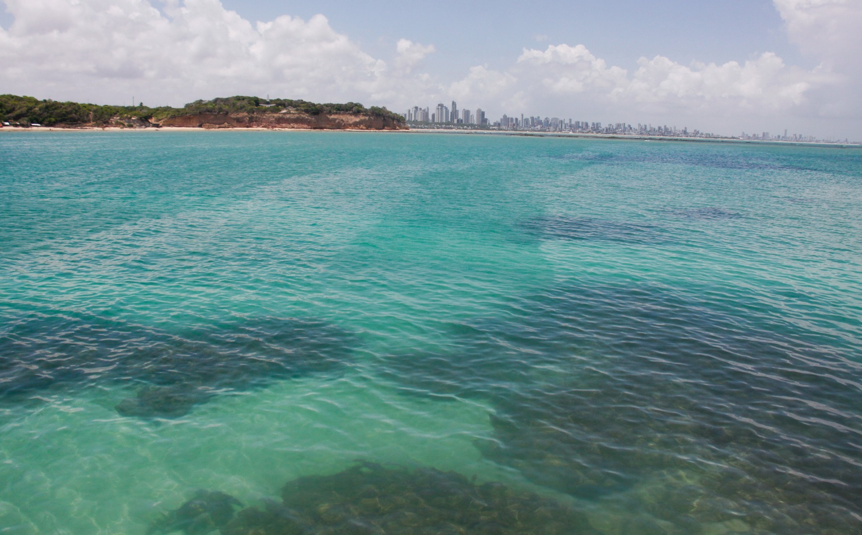 Corais litoral paraibano Foto Secom PB.jpg