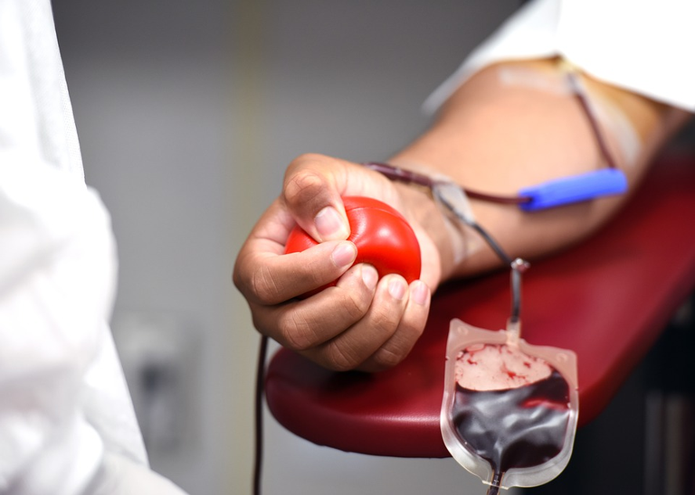 Doação de sangue2.png
