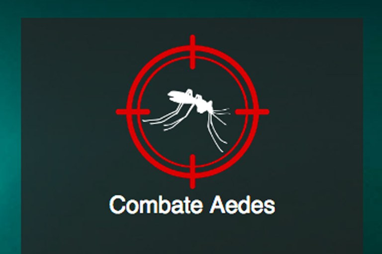 aedes.jpg