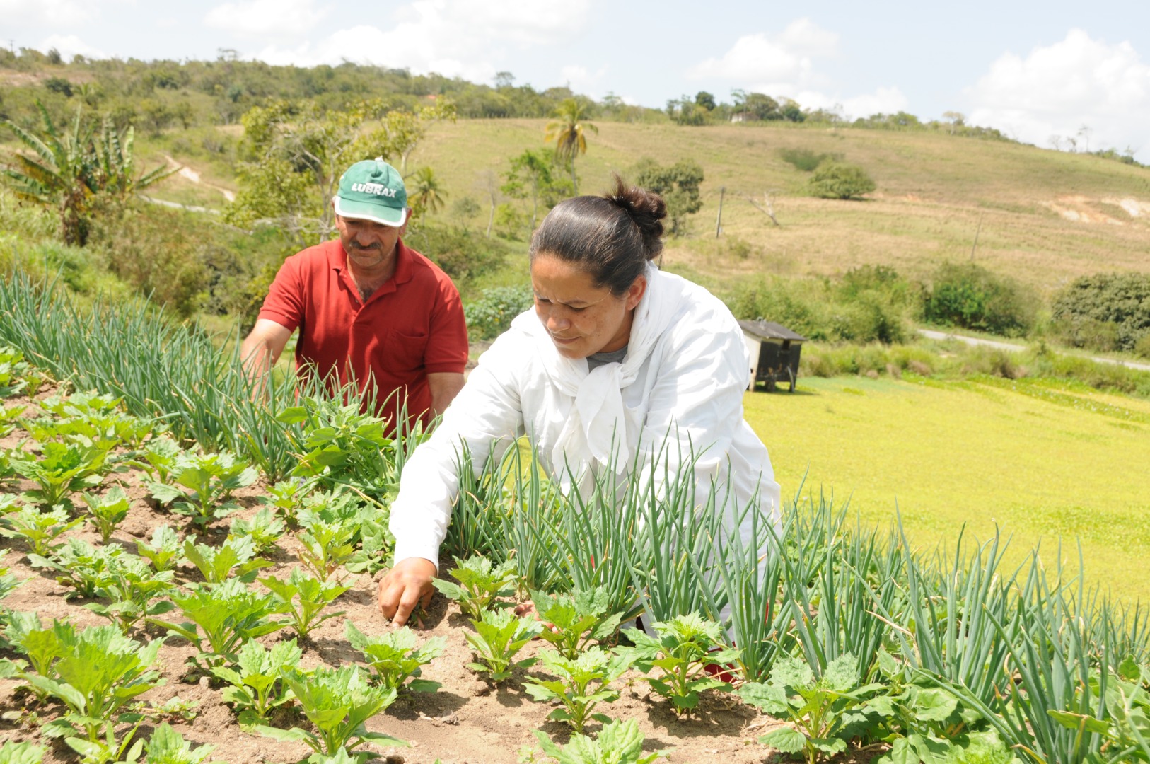 AGRICULTURA © José Marques SECOM PB.JPG