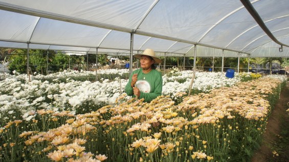 A Rota das Flores é uma das 27 atrações do catálogo de experiências turísticas do Sebrae | Foto: Teresa Duarte