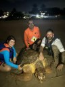 Tartaruga resgatada - Aquário Paraíba (1).jpeg