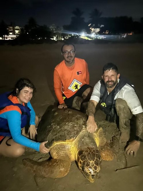 Tartaruga resgatada - Aquário Paraíba (1).jpeg
