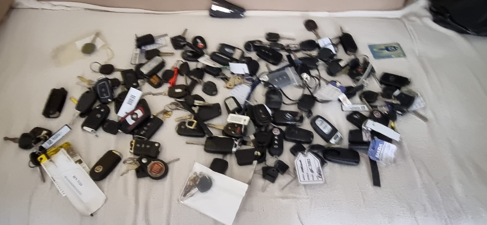 WhatsApp Image 2025-08-25 at 09.17.10.jpeg